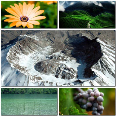 Nature Wallpapers Pack #49