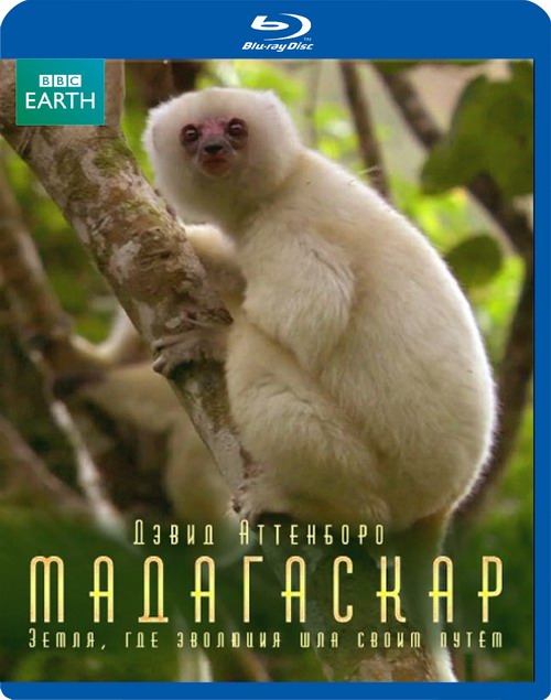 : ,      / Madagascar: The land where evolution ran wild (  / Mary Summerille) [2011 ., , Blu-Ray Disc 1080p [url=https://adult-images.ru/1024/35489/] [/url] [url=https:/