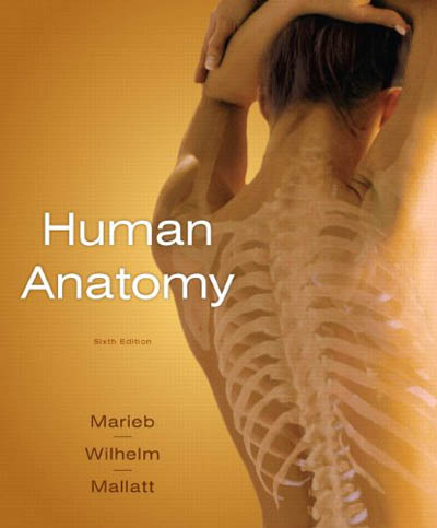 Human Anatomy, 6 edition