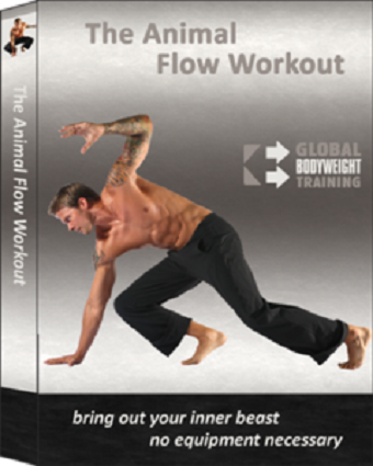 The Animal Flow Workout (2011)