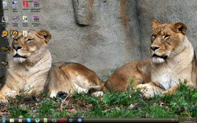 Lion Queen - Theme for Windows 7