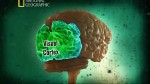    / Test Your Brain (2011) SATRip
