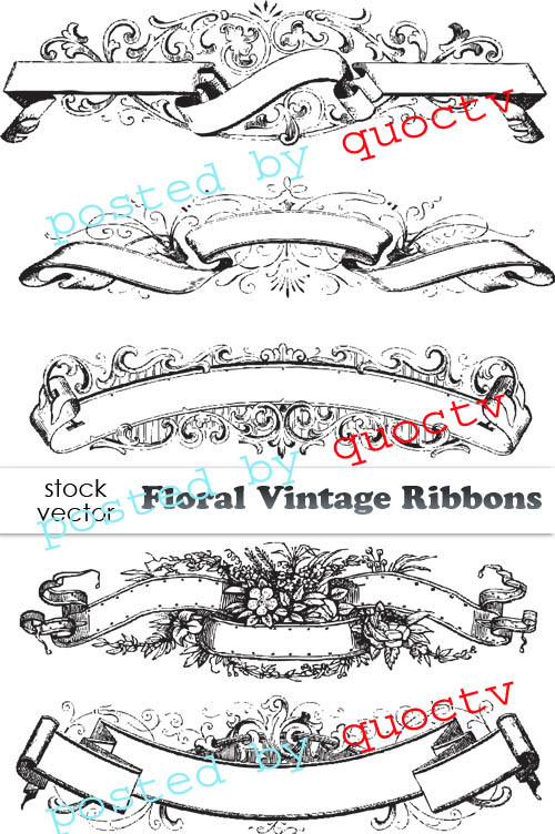 Vectors - Floral Vintage Ribbons 