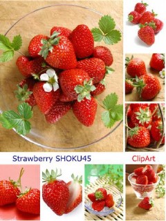 ClipArt - Strawberry SHOKU45. 100 jpg | 4000x3000