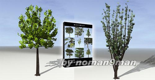 DOSCH 3D: Trees & Conifers ( 695 MB )