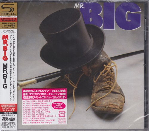 (Hard Rock) Mr. Big -  1989-2011 (19 ), MP3, 320 kbps