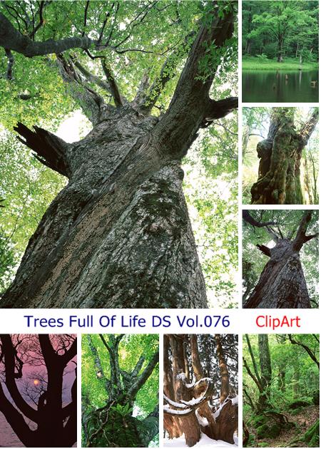 Trees Full Of Life DS Vol.076