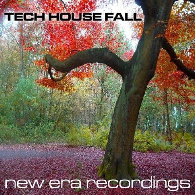 Tech House Fall Vol 2 (2011)