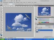 Видеокурс Photoshop CS4-CS5: уроки волшебства для начинающих и не только (2011)