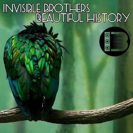 Invisible Brothers - Beautiful History (2011)