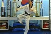  -     / Taekwondo (DVDRip)