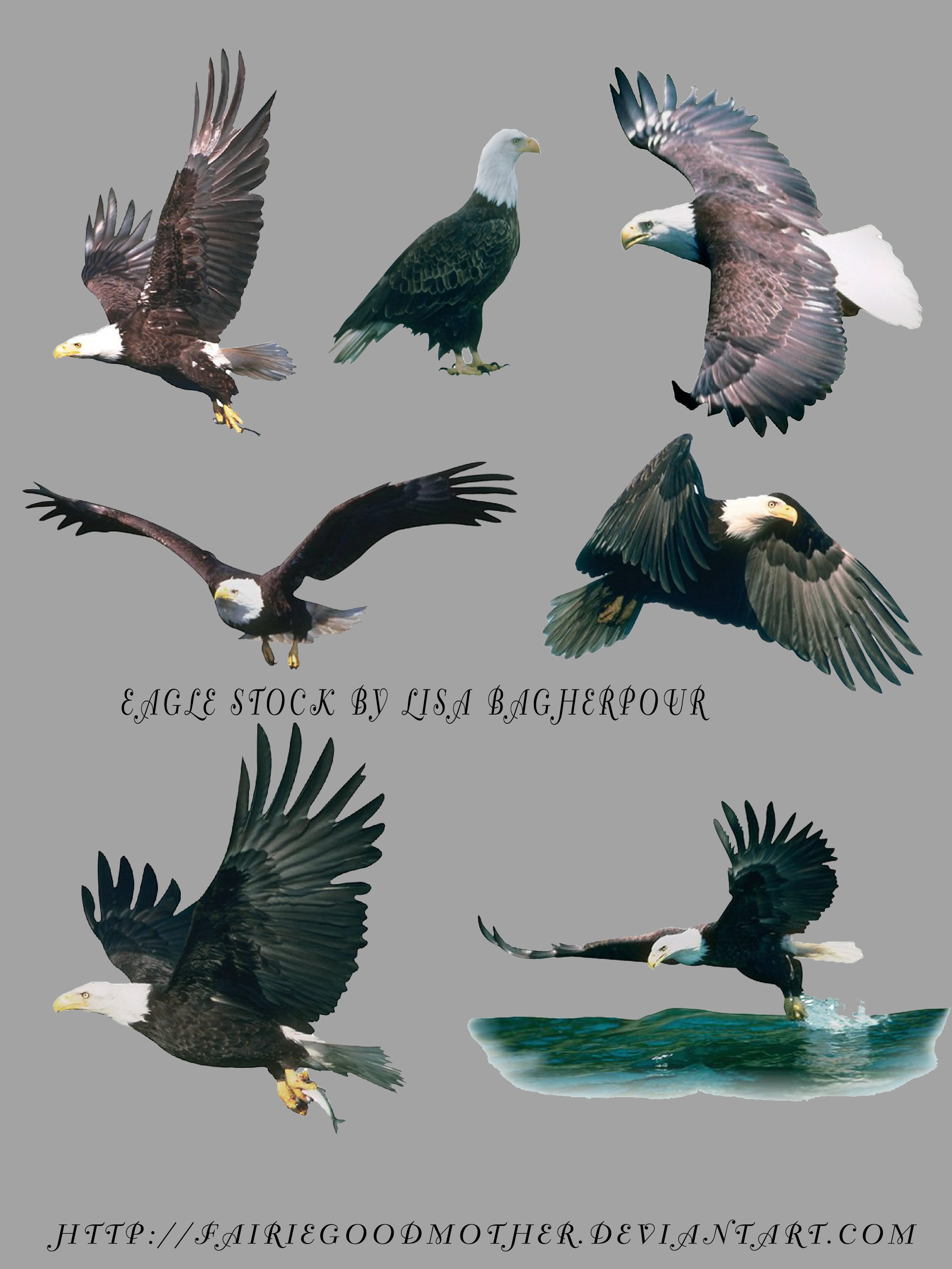 Flying Eagles