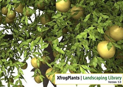 XfrogPlants Version 3.0 Landscaping Library vol.2 -1.23 GB