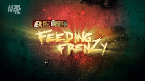    / Bear.Feeding Frenzy (Scott Gurney) [2008 ., , HDTV 1080i]