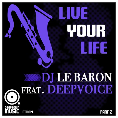 04. DJ Le Baron feat Deepvoice - Live Your Life (Part 2) (Soulfulbros Instrumental Remix).mp3