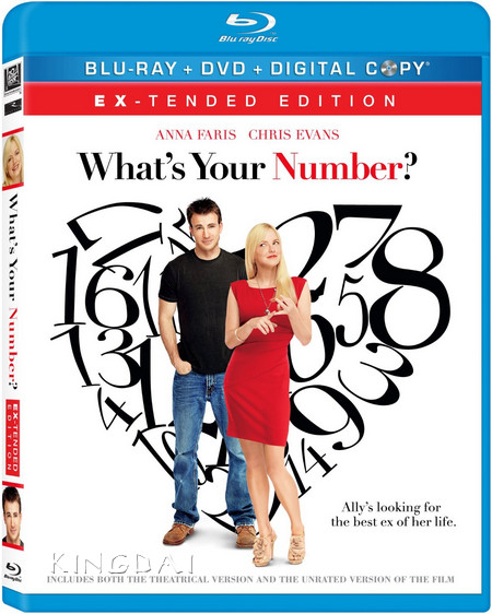 What's Your Number (2011) Unrated DvDRip Xvid-BHRG