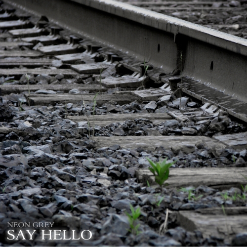 (Progressive Rock / Electronic / Alternative) Neon Grey - Say Hello - 2010, MP3, CBR 320 kbps