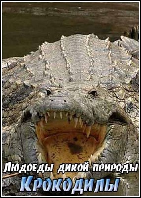 Людоеды дикой природы: Крокодилы / Attack! Africa`s Maneaters – Crocodiles (2000) DVDRip