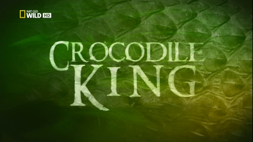   / Crocodile King (Jeff Morales) [2010 ., , HDTVRip 720p]