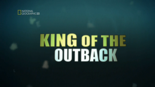 -:    . / Monster fish: King of The Outback (Erin Buxton) [2011 .,  , , HDTV 1080i]