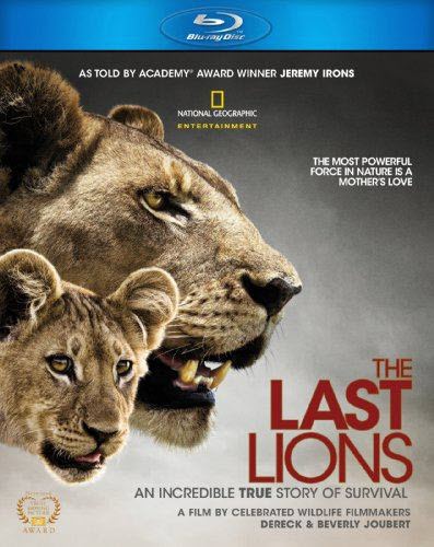   / The Last Lions (  / Derek Joubert) [2011, , , BDRip 1080p [url=https://adult-images.ru/1024/35489/] [/url] [url=https://adult-images.ru/1024/35489/] [/url]]