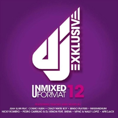 VA - DJ Exklusive 12  Unmixed Format (2012)