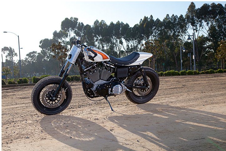 Мотоцикл Harley-Davidson Sportster от Brawny Built