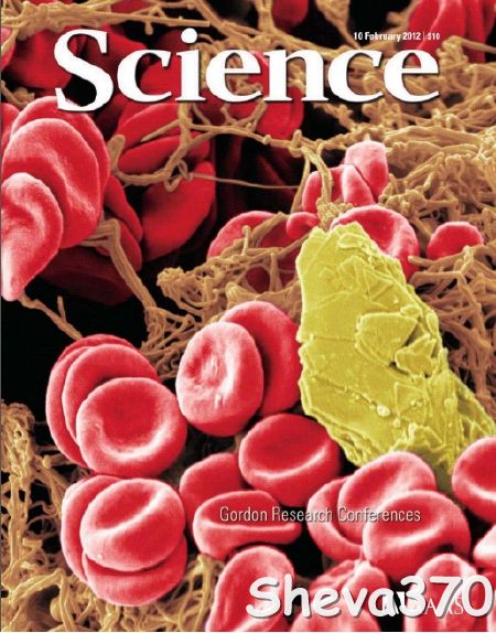 Science - 10 February 2012