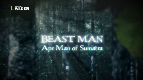    .    / Beast Man. Ape Man of Sumatra (Rupert Troskie) [2010 .,  , , HDTV 1080i]