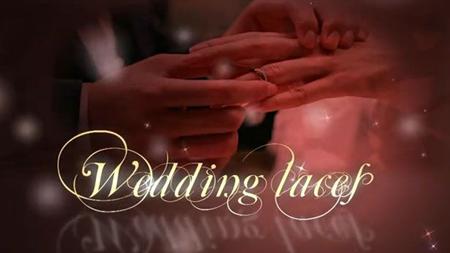 After Effects Projects - Wedding laces