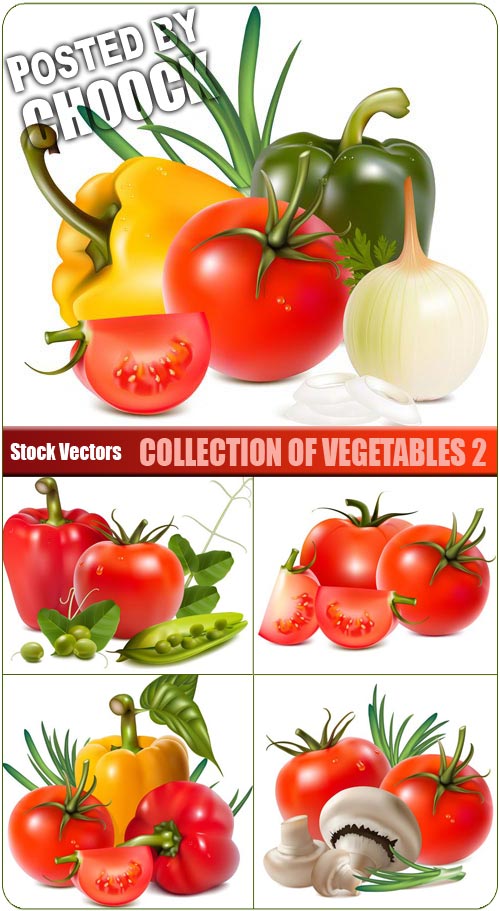 Collection of vegetables 2 - Stock Vector