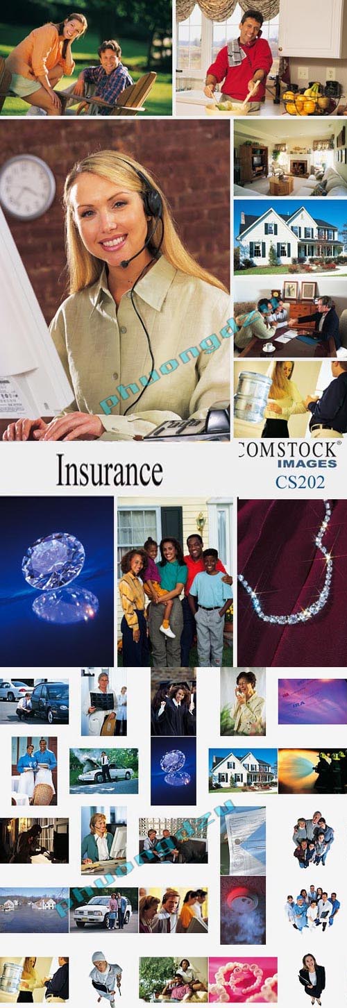 Comstock Images CS202 — Insurance