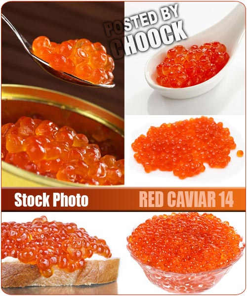 Red caviar 14 - Stock Photo