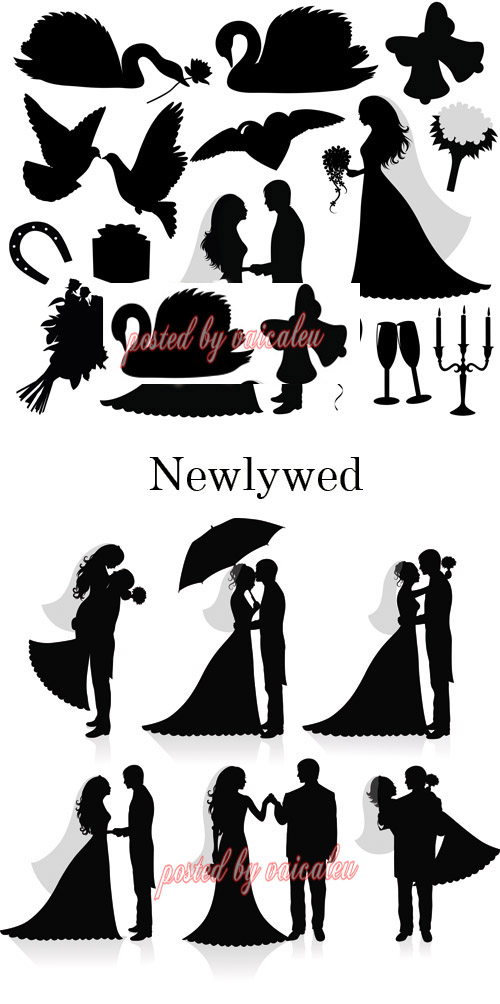Newlywed silhouette - Vector