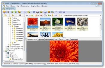 XnView 1.98.8 Full Portable