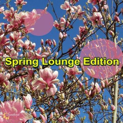VA - Spring Lounge Edition (2012)
