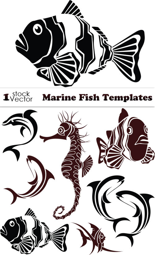 Marine Fish Templates Vector
