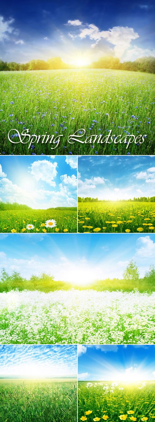 Stock Photo Spring Summer Landscapes