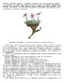 Подшивка журнала "Домашняя лаборатория". 57 номеров (2006-август/2011) DjVu