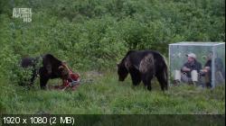 Как прокормить медведя / Bear Feeding Frenzy (2008) HDTV 1080i