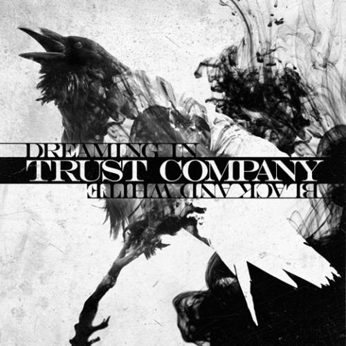 TRUSTcompany - Dreaming In Black and White (2011)