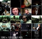  :   / 3-    (2011) DVDRip