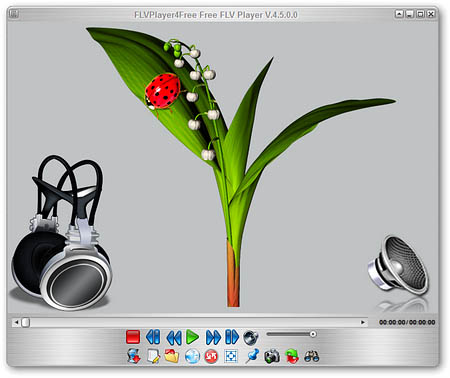 FLVPlayer4Free Free FLV Player 4.6.0.0 (Multi/Русский)