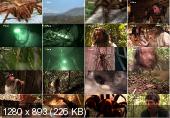 Человек против монстра. Ужасы в Амазонии / Man vs Monster. Amazon Terror (2011) HDTVRip