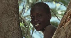 Нигде в Африке / Nirgendwo in Afrika (2001) DVDRip